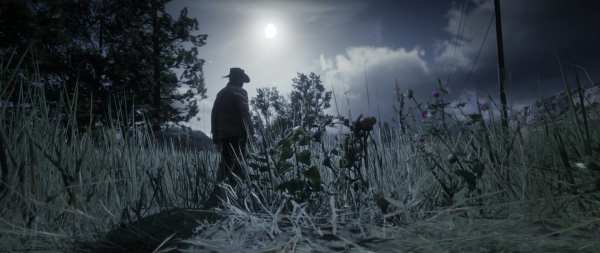 red dead redemption 2, mods