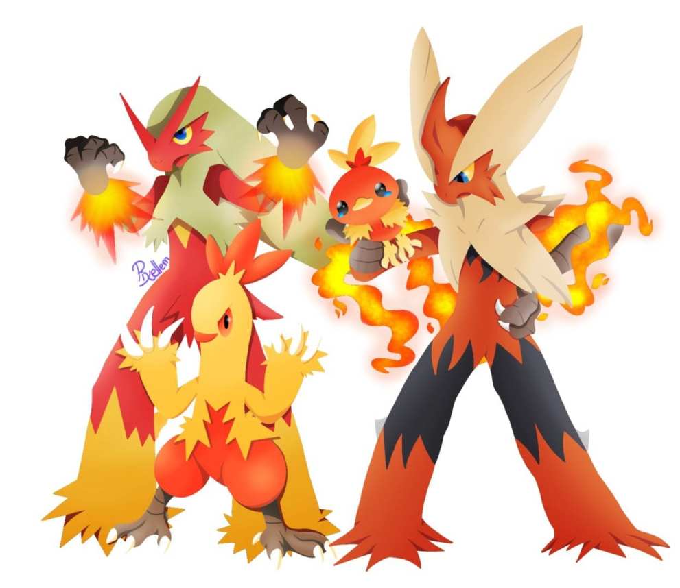 19. Torchic, Combusken & Blaziken