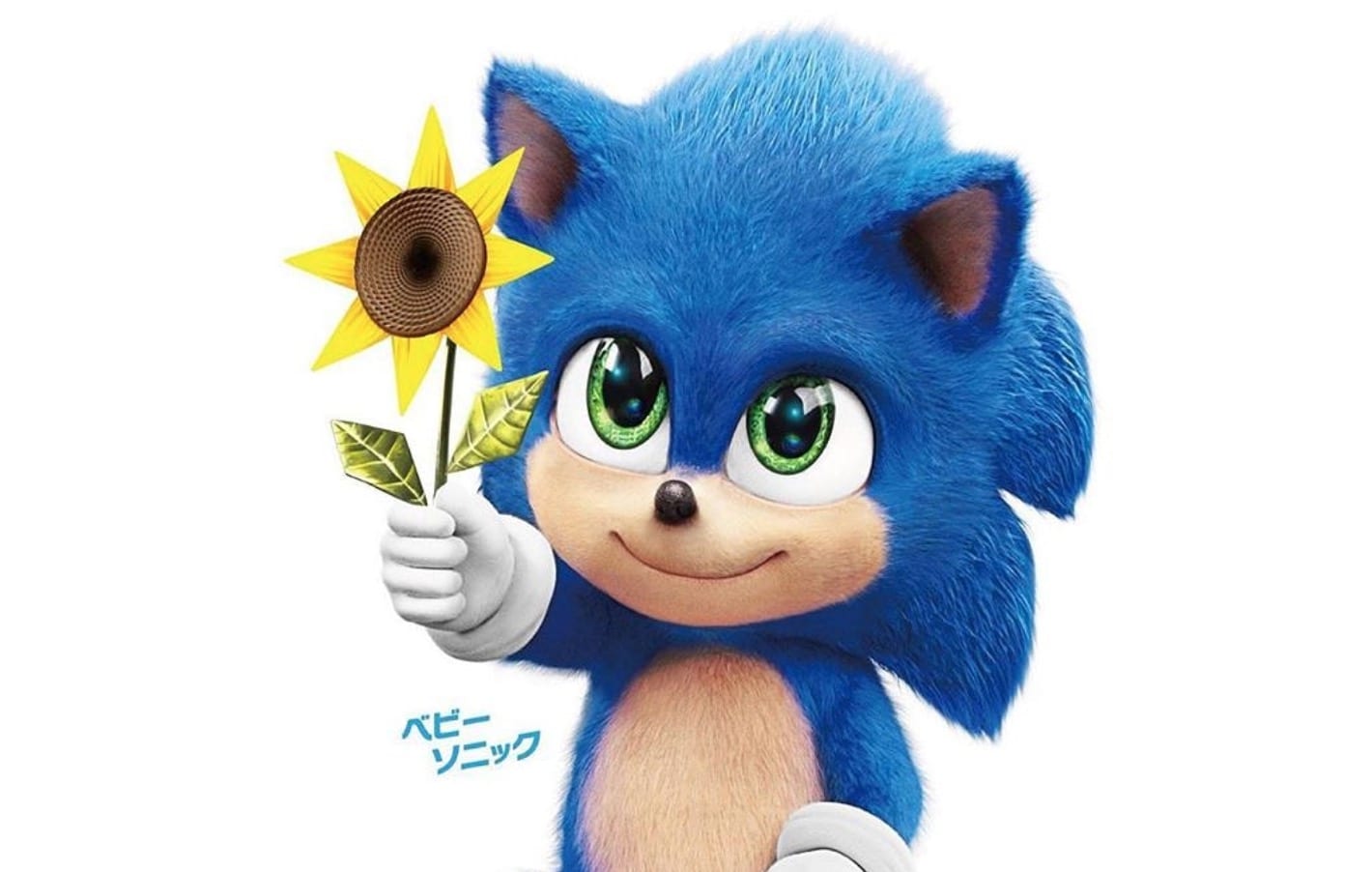 baby sonic the hedgehog