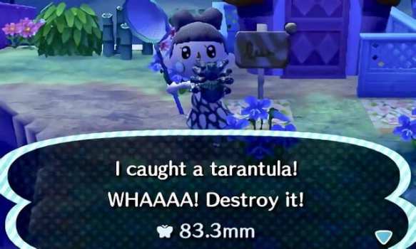 Animal Crossing tarantula