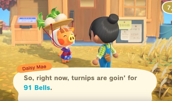 daisy mae, turnips, animal crossing new horizons