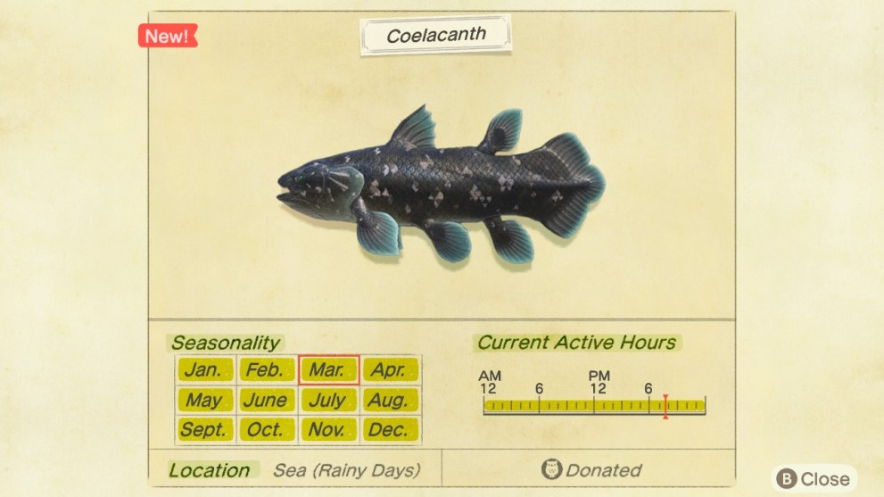 animal crossing new horizons coelacanth