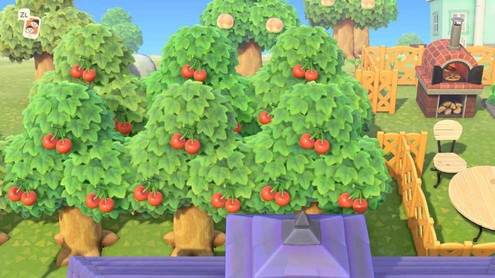 Animal Crossing New Horizons Orchard