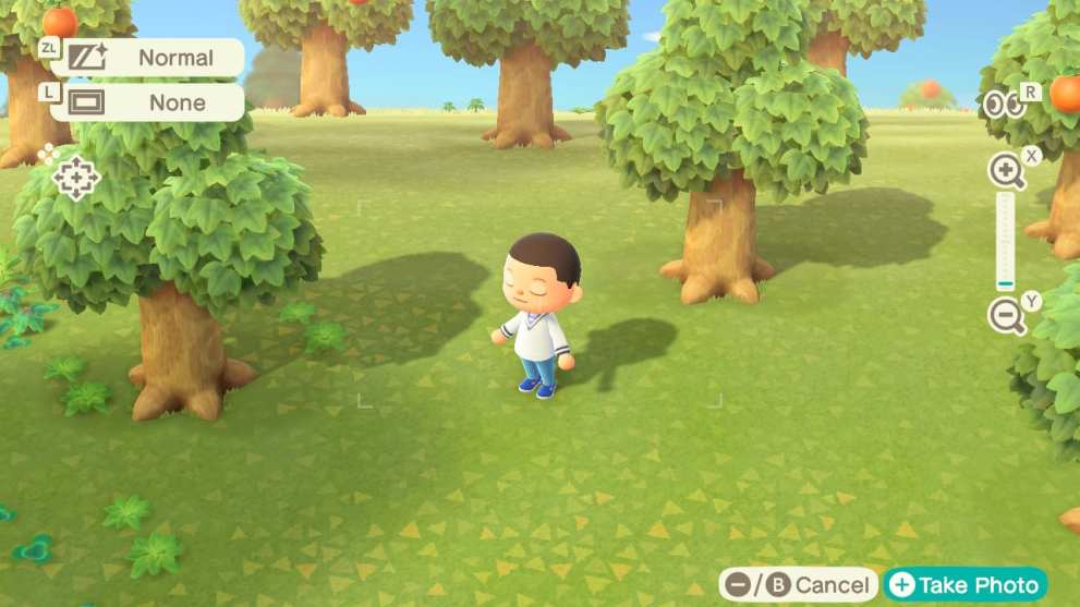 animal crossing new horizons camera, animal crossing new horizons photo mode