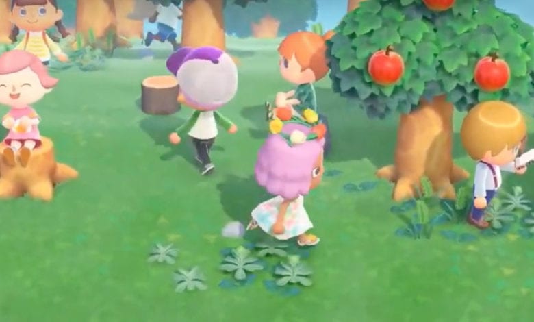 multiplayer activities to do in animal crossing new horizons