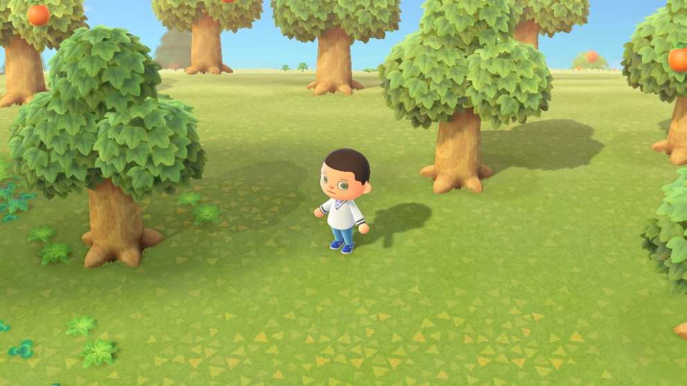 animal crossing new horizons camera