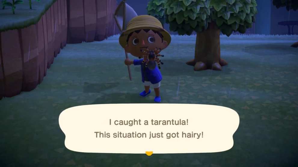 catching tarantulas in animal crossing new horizons