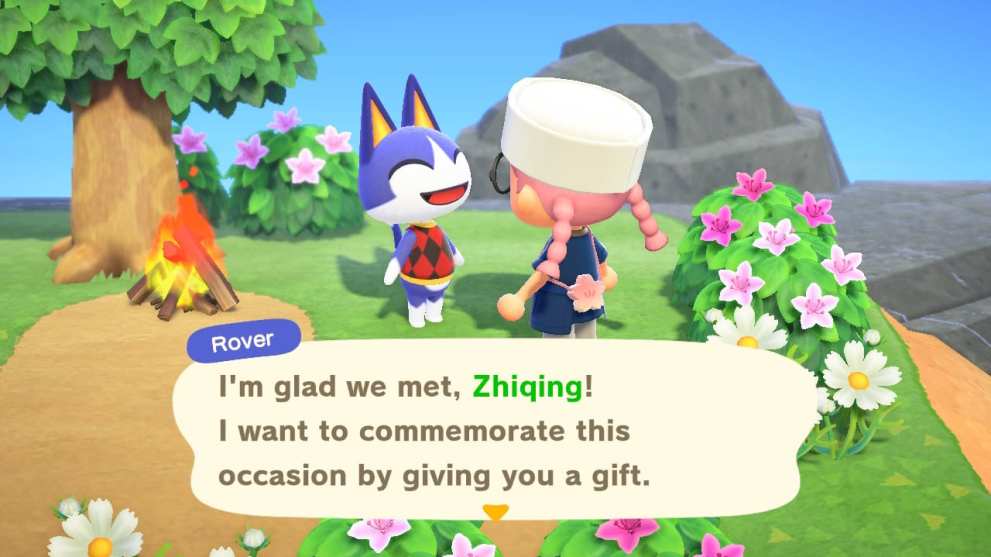 animal crossing new horizons, rover