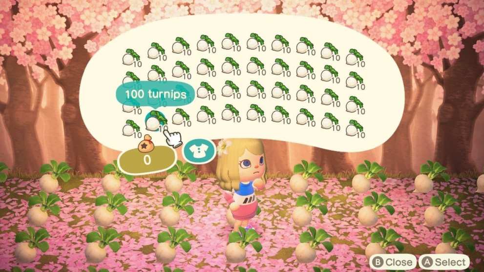 storing turnips in animal crossing new horizons