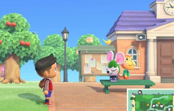 can you catch birds animal crossing new horizons, switch