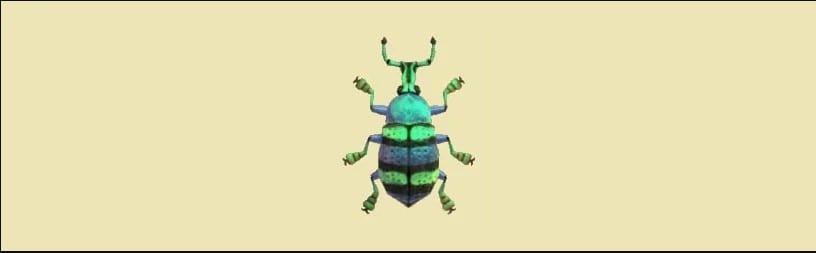 blue weevil beetle in animal crossing new horizons