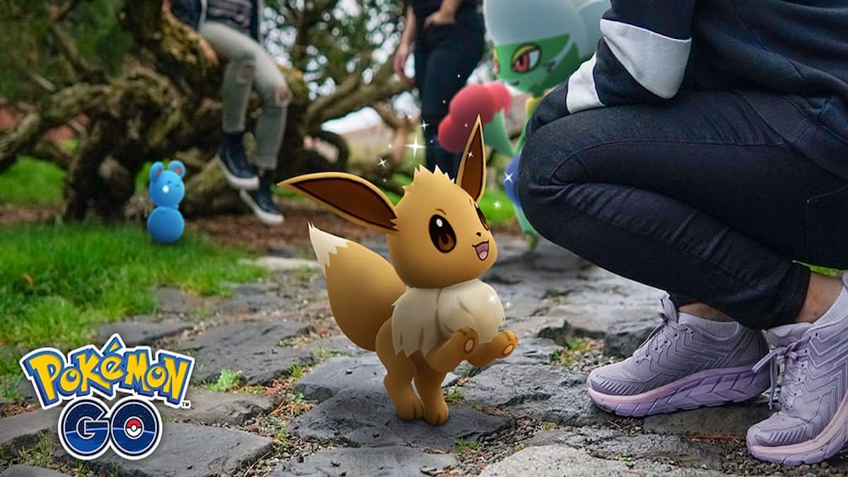 eevee pokemon go buddy