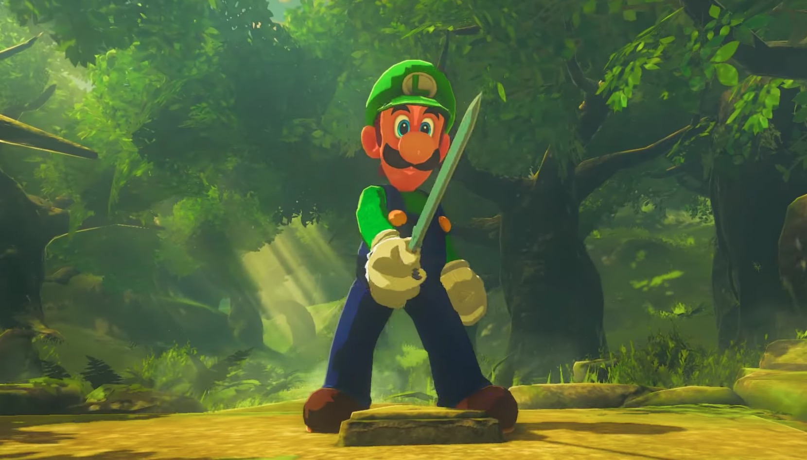 zelda breath of the wild luigi mod wii u