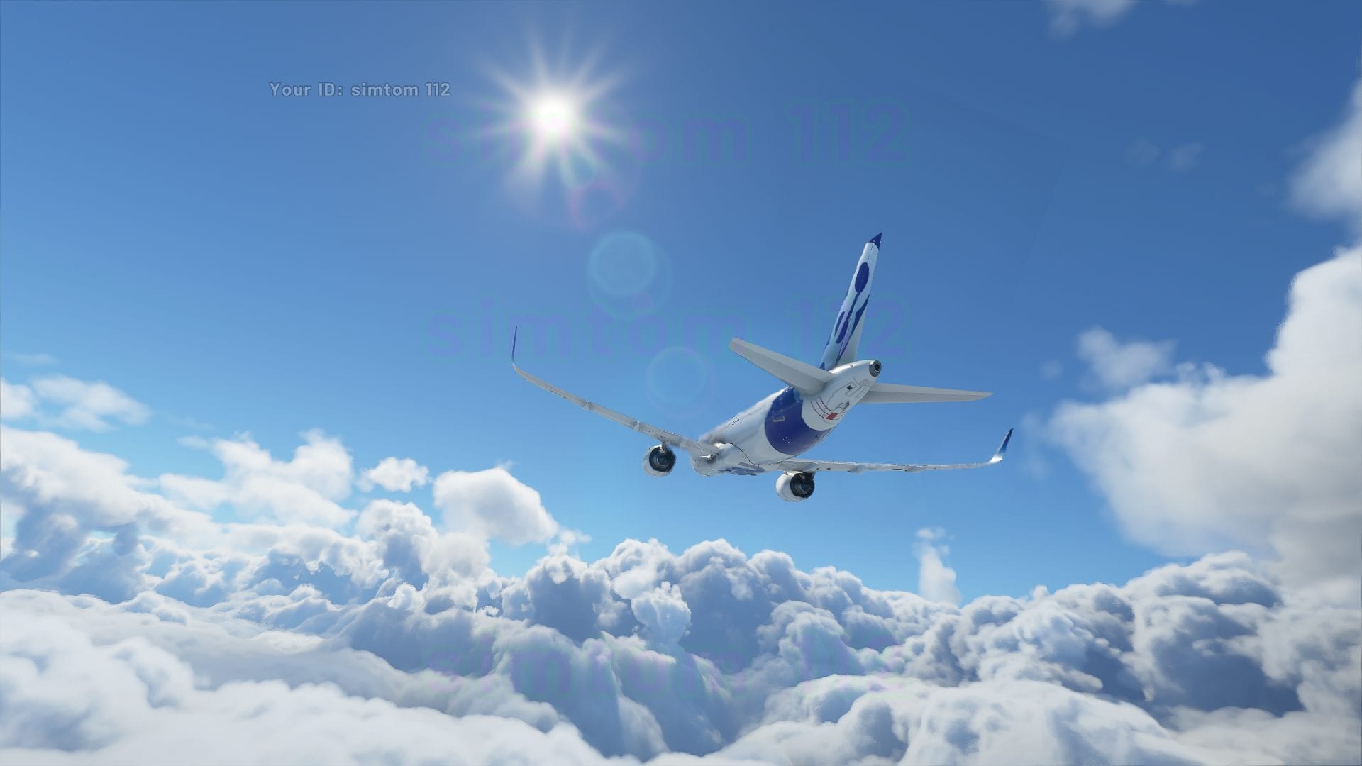 Microsoft Flight Simulator (2)