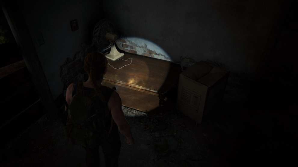 last of us 2, strange artefact