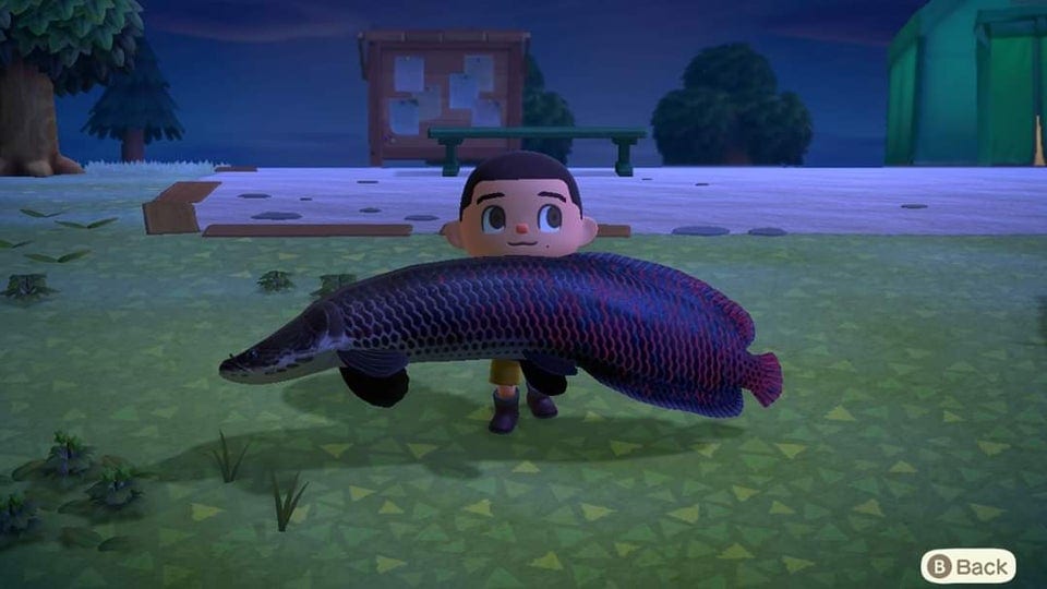 animal crossing new horizons arapaima