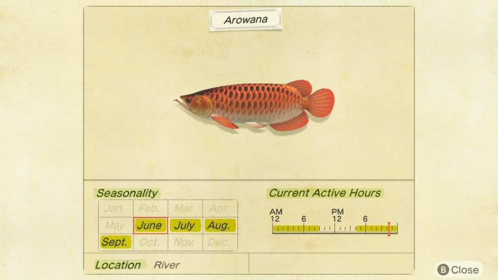 animal crossing new horizons arowana