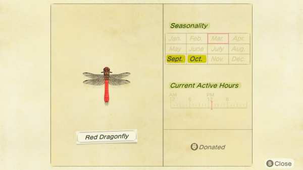 red dragonfly