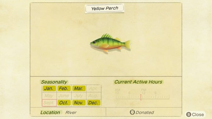 yellow perch animal crossing new horizons