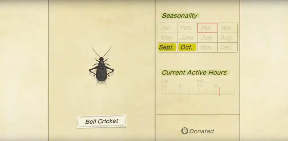 animal crossing new horizons, bell cricket