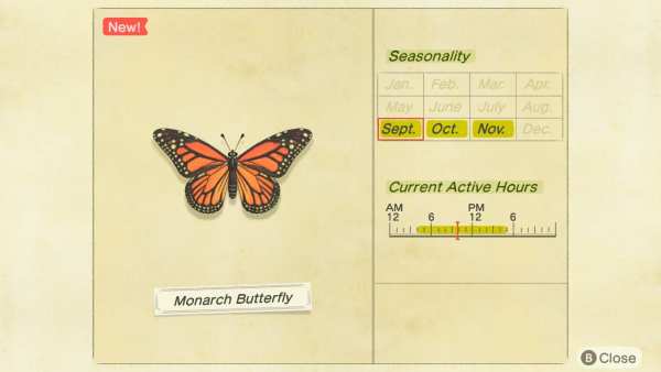 monarch butterfly