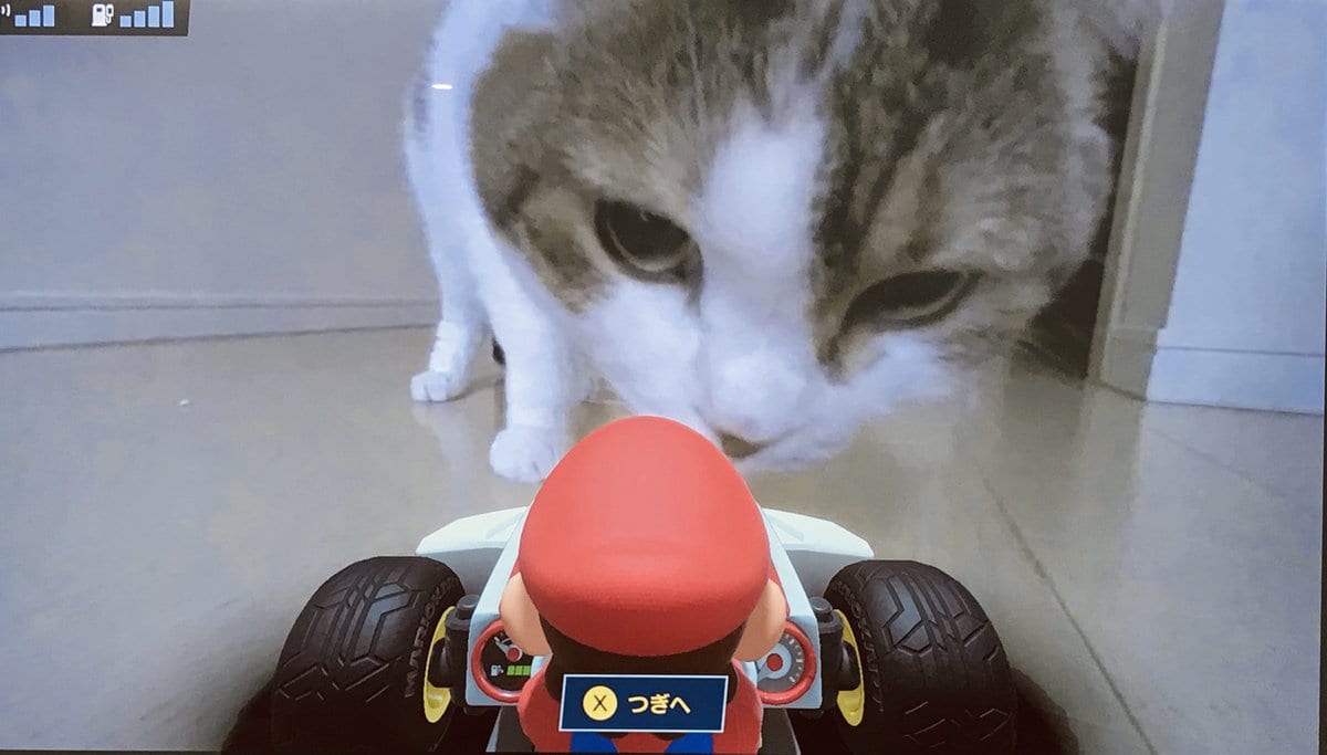 mario kart live