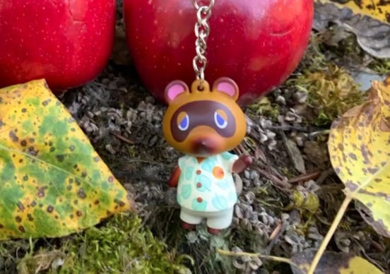 tom nook