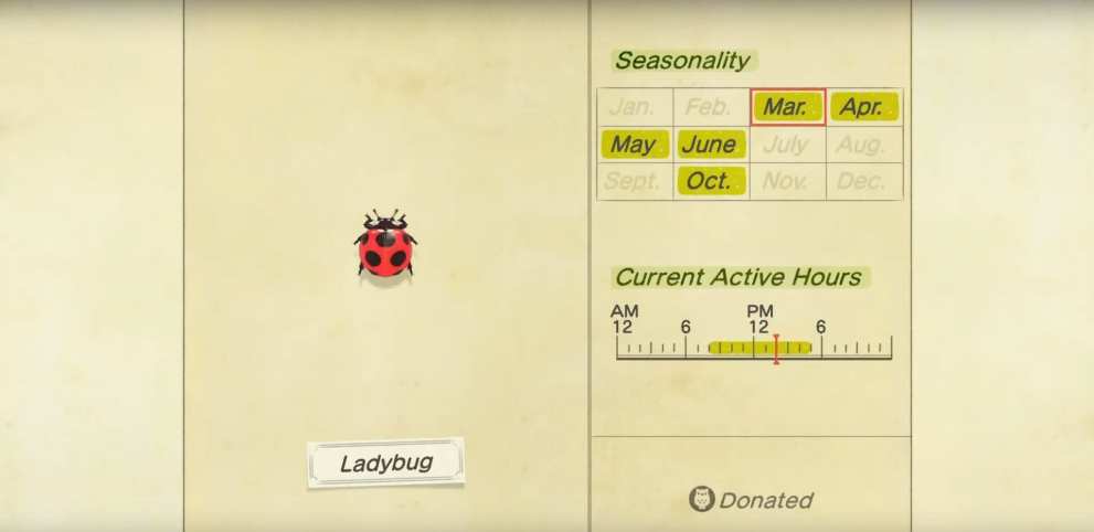 animal crossing new horizons, ladybug