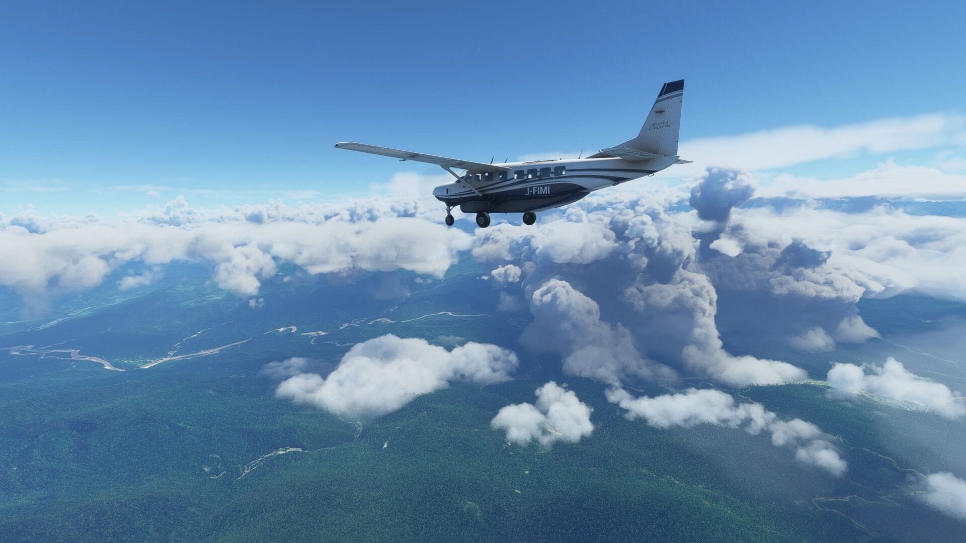 Microsoft Flight Simulator