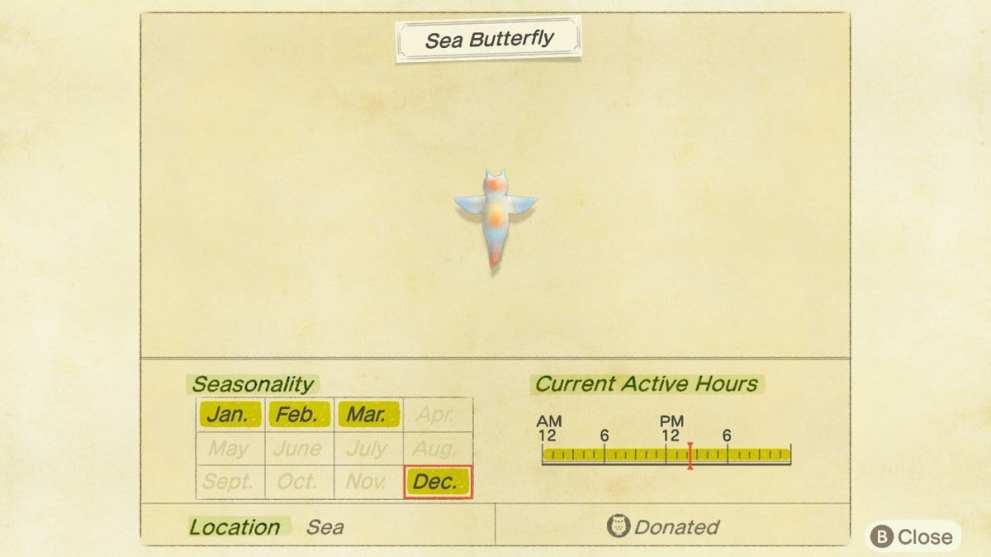 sea butterfly animal crossing new horizons