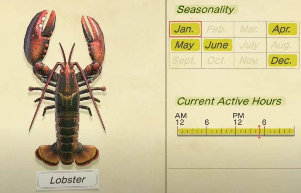 December Fish & Bugs in Animal Crossing New Horizons