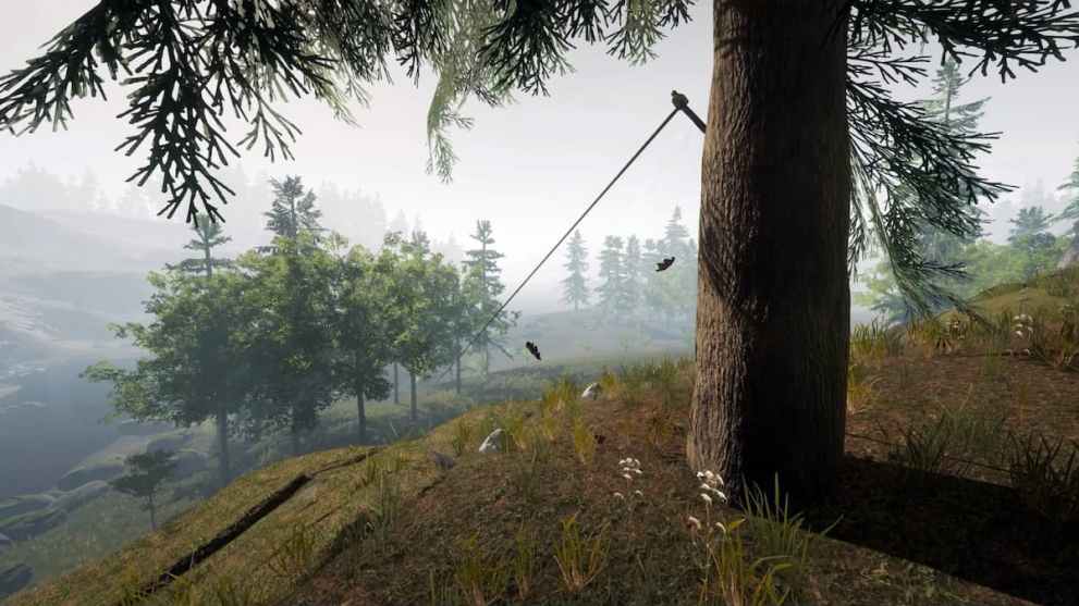 The Forest Zipline