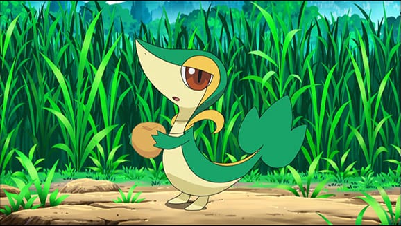 shiny snivy