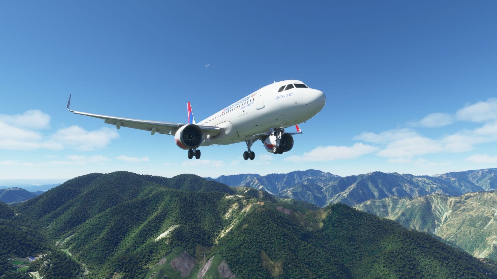 Microsoft Flight Simulator