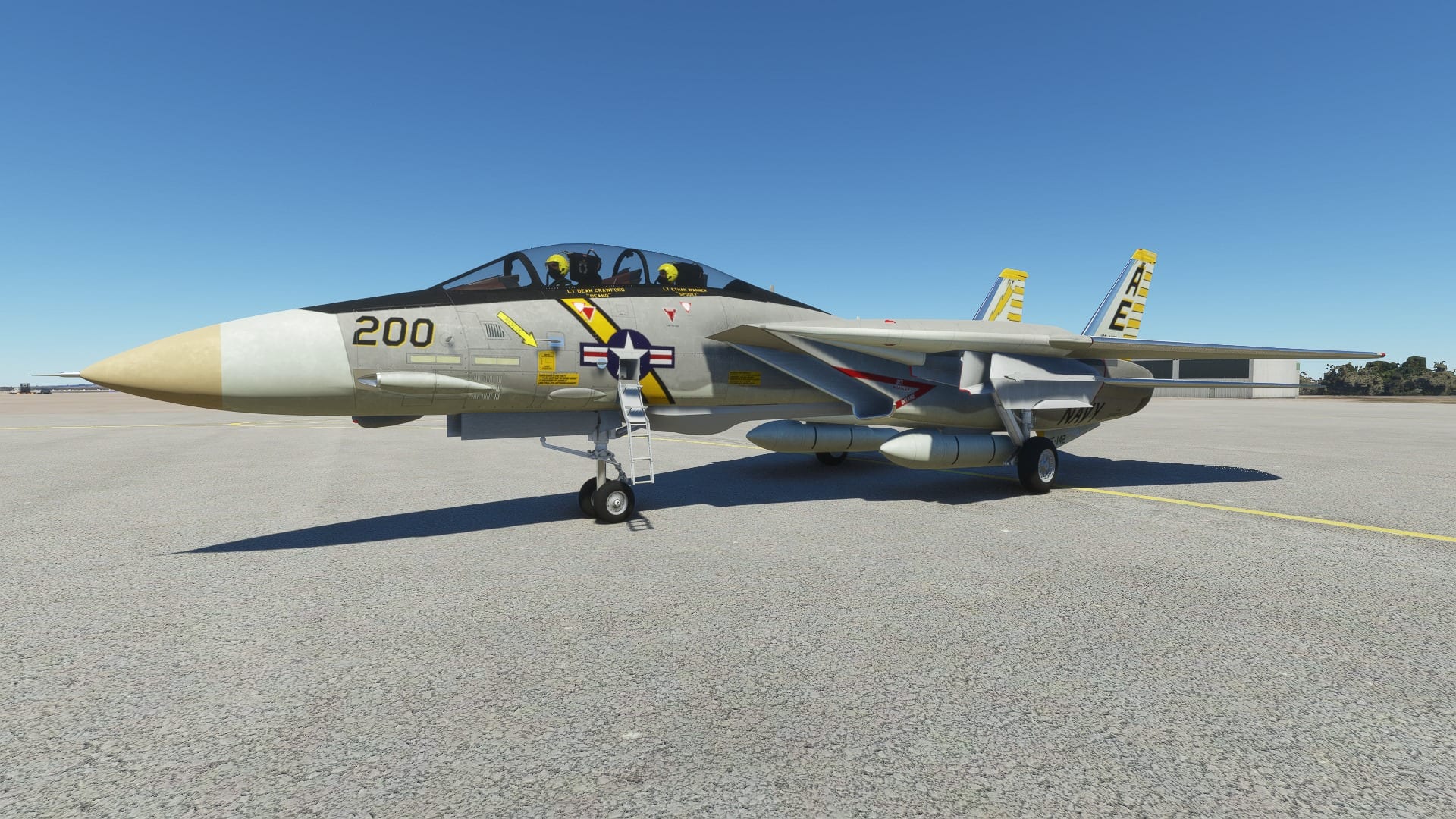 Microsoft Flight Simulator F-14