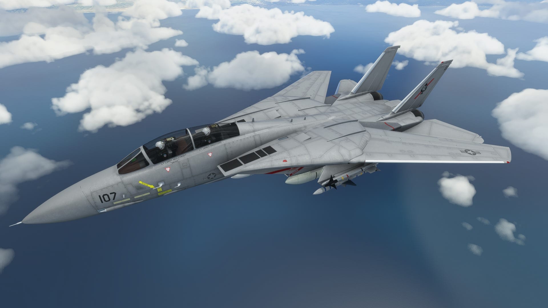 Microsoft Flight Simulator F-14