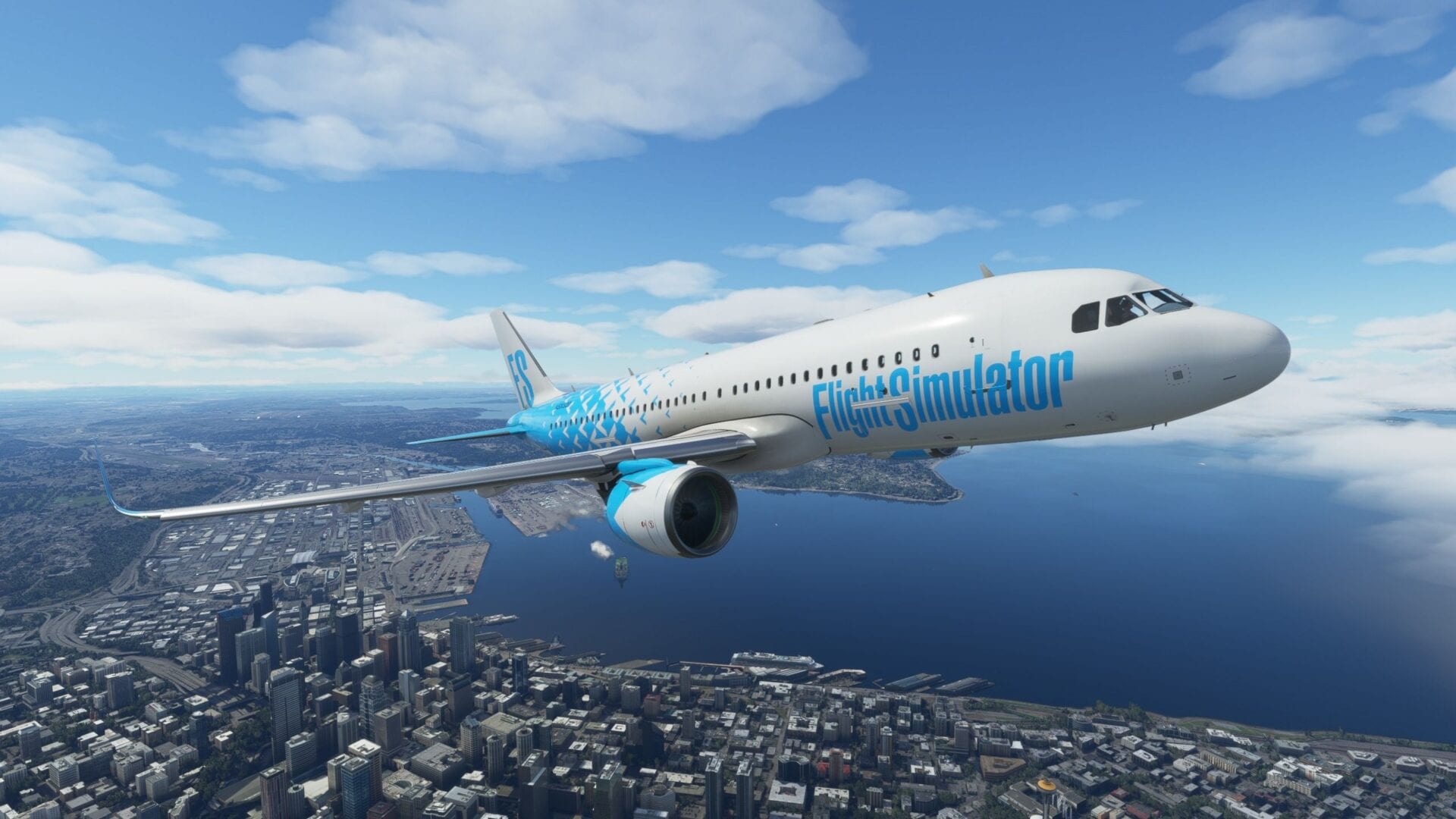 Microsoft Flight Simulator