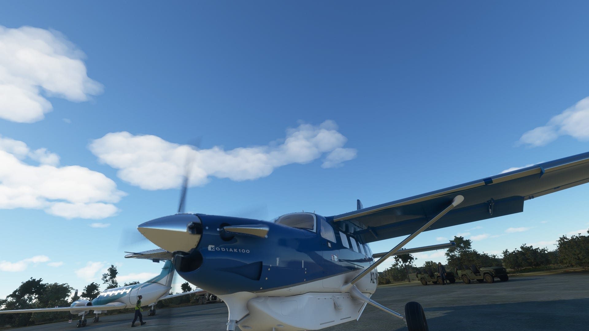 Microsoft Flight Simulator