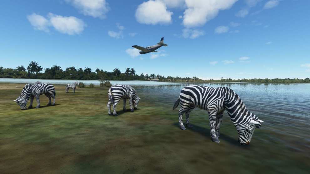 Microsoft Flight Simulator Okavango Delta