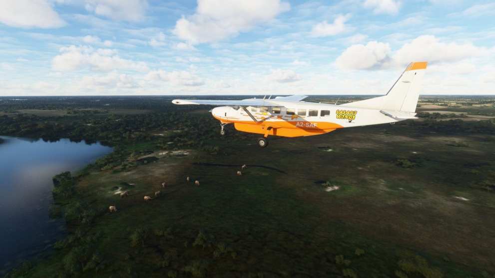 Microsoft Flight Simulator Okavango Delta