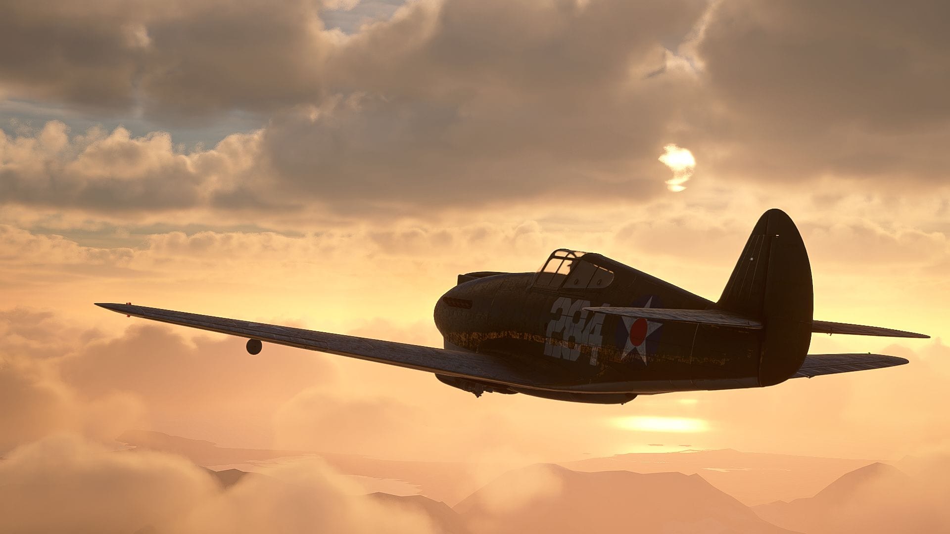 Microsoft Flight Simulator P40