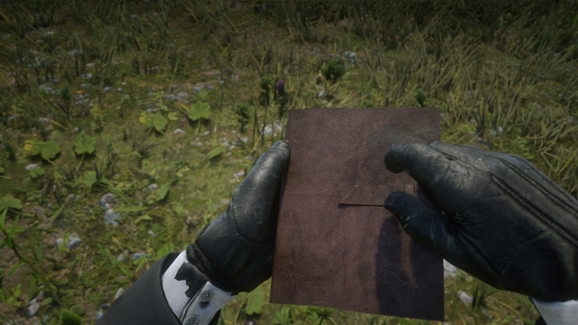 Arthur Morgan's Journal, Red Dead Redemption 2