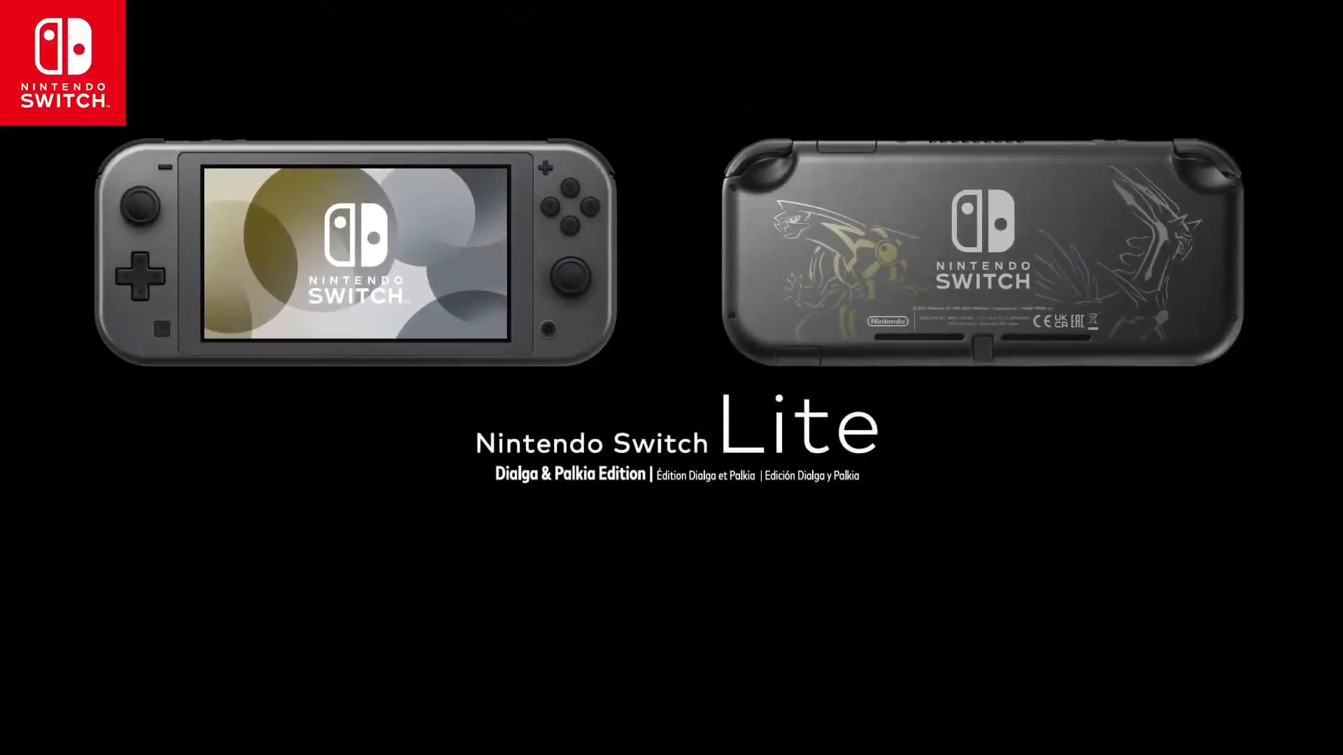 Nintendo Switch Lite