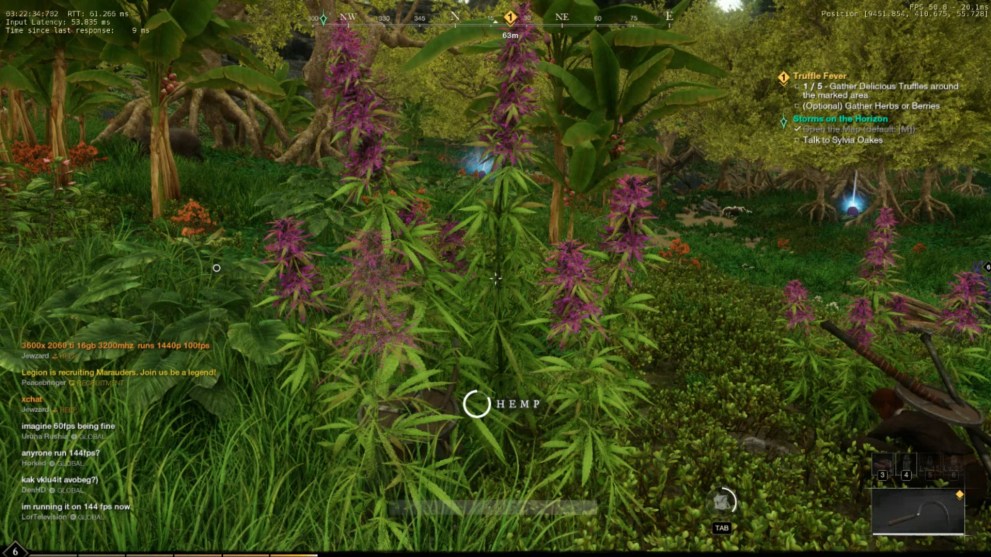 new world hemp