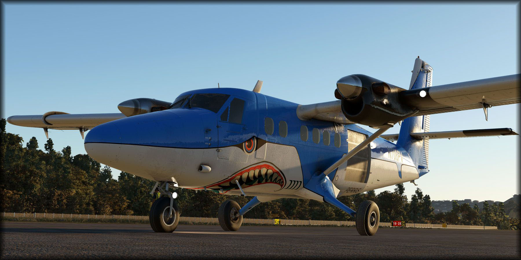 Microsoft Flight Simulator Twin Otter