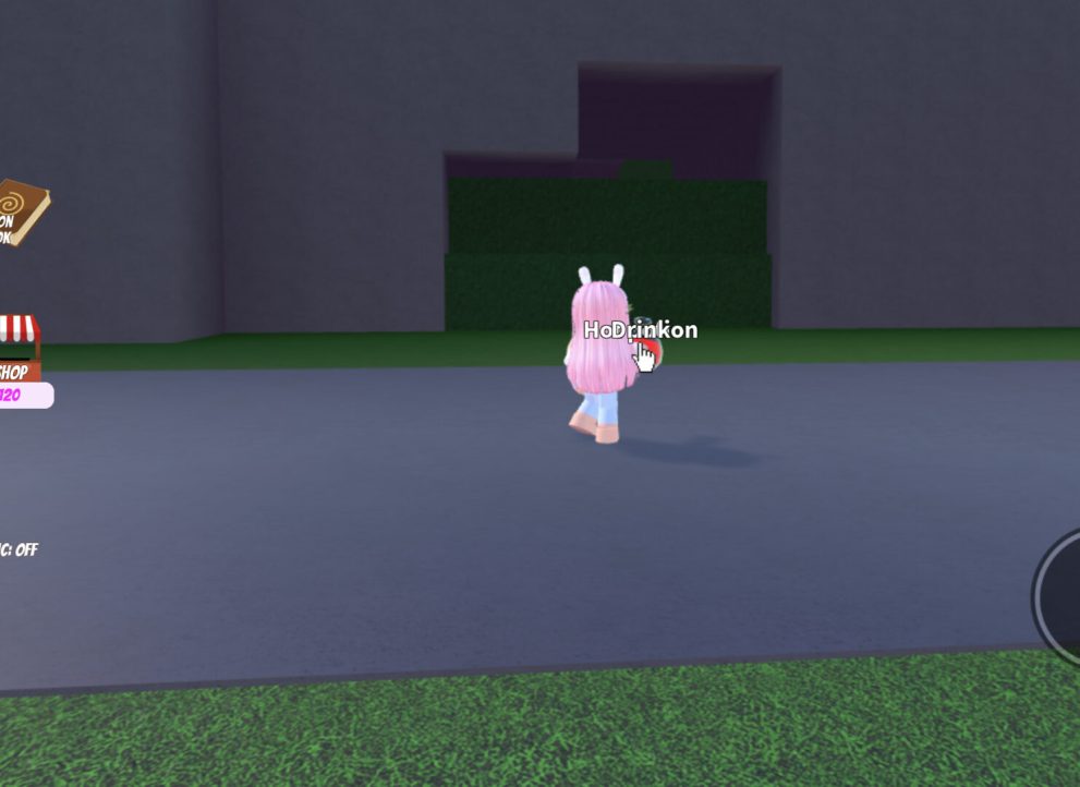 Roblox Wacky Wizards Walking Cane