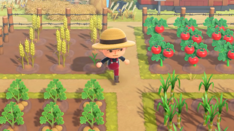 farming and cooking