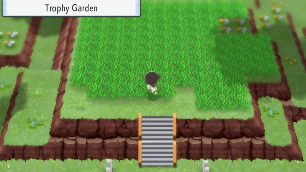 Pokemon Mansion Trophy Garden