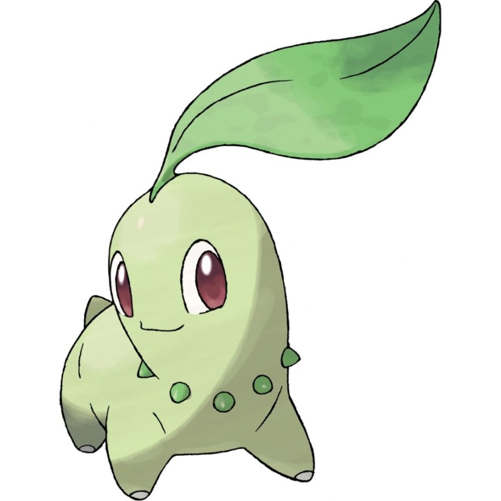 Pokemon Chikorita