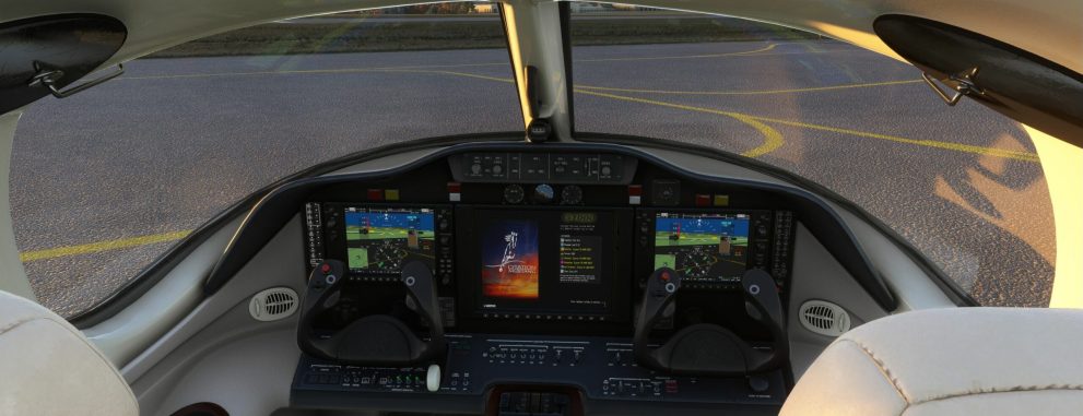 Microsoft Flight Simulator